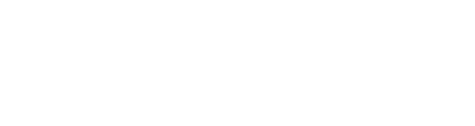 tesla-academi
